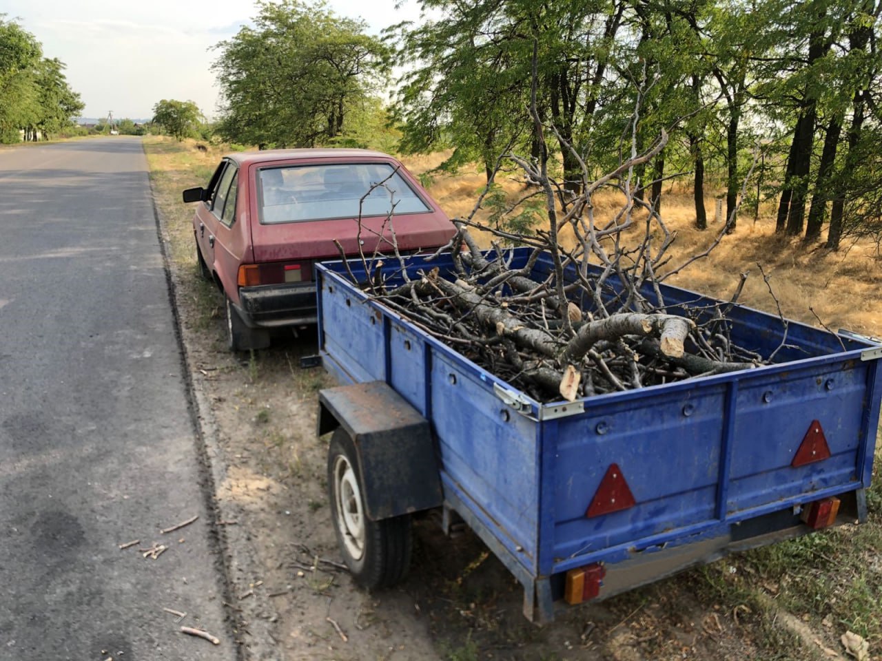 У Миколаєві затримали авто з деревиною – документів на напиляне чоловік не мав (ФОТО)