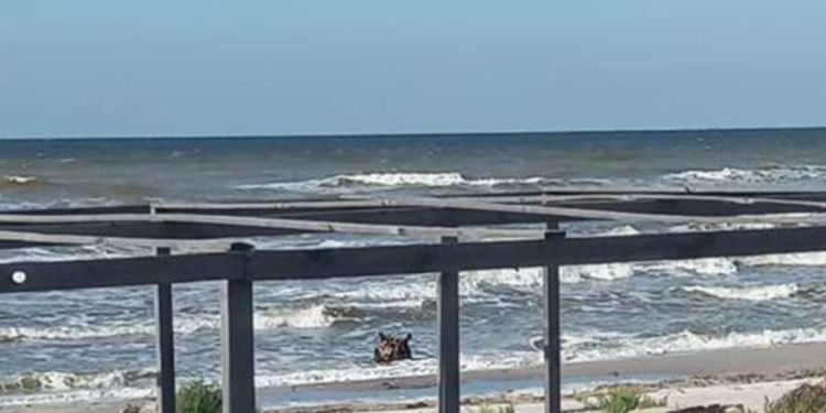 На чорноморському узбережжі Миколаївщини знищили морську міну, яку винесло штормом (ВІДЕО)