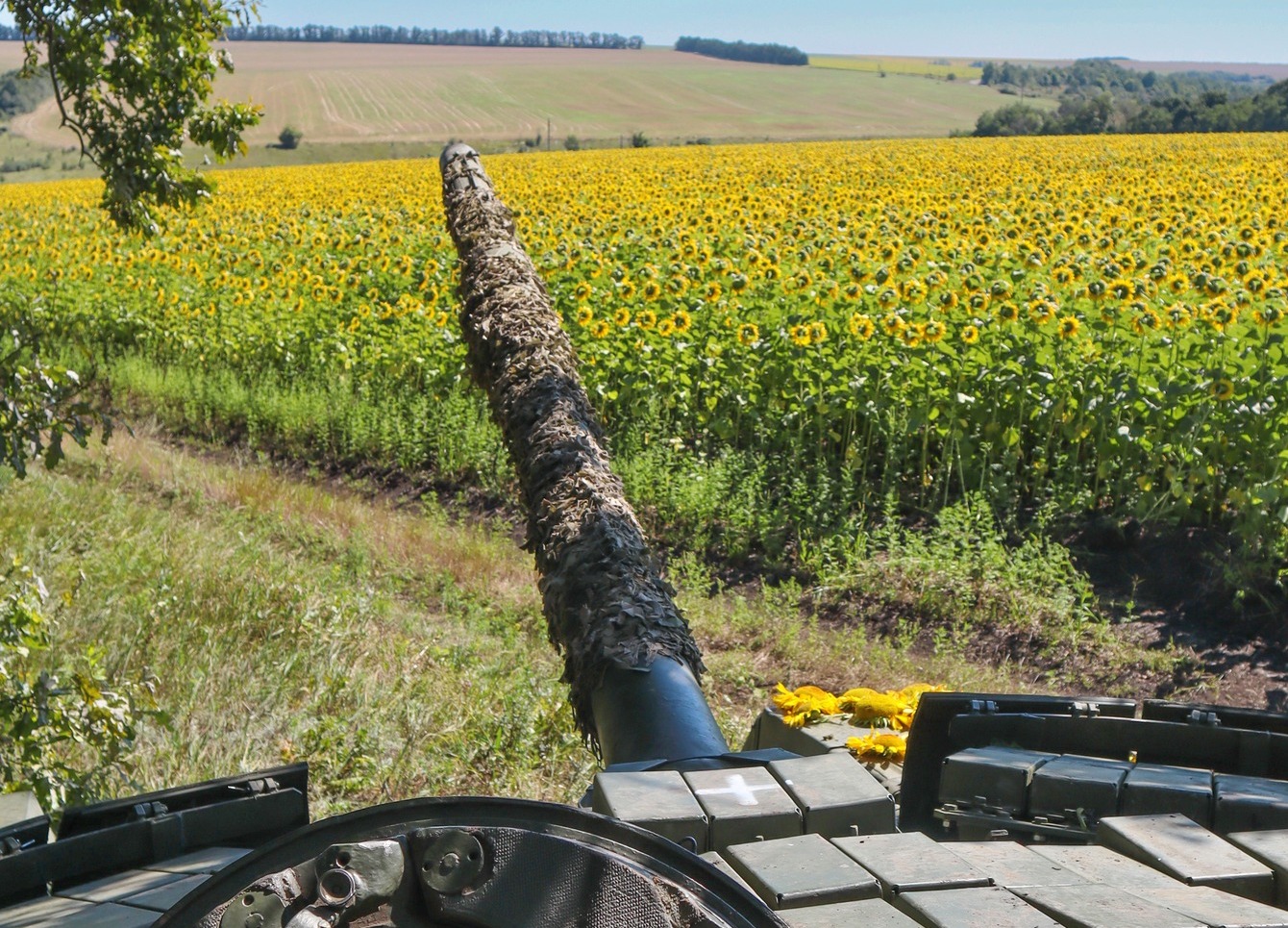 За добу в Україні ліквідовано ще 580 окупантів, загалом – понад 252 тисячі. Повні втрати ворога