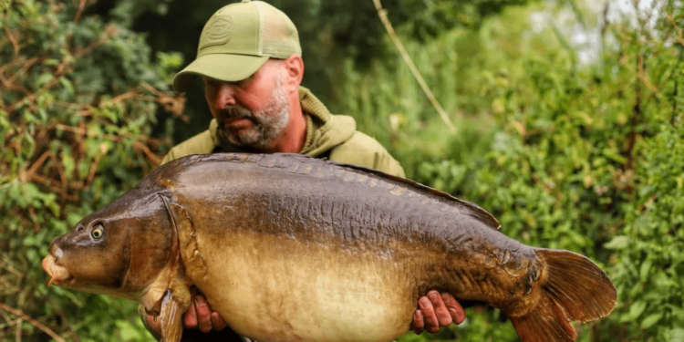 В Британії рибалка впіймав коропа, якого зловив і відпустив 30 років назад (ФОТО)