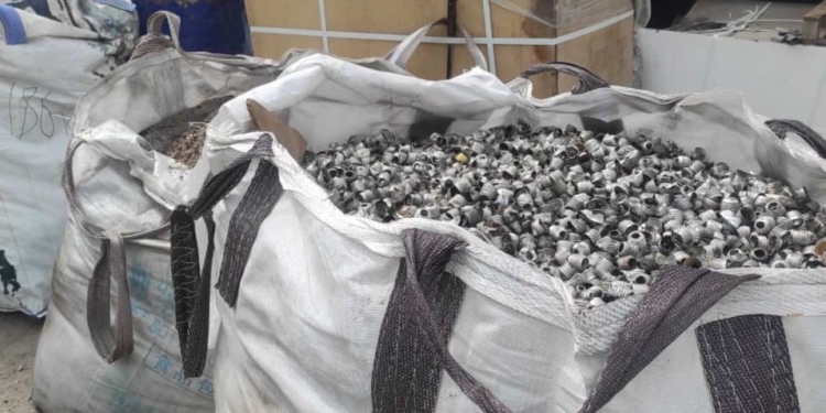 На Миколаївщині зібрали та передали на утилізацію майже 457 тисяч ламп розжарювання (ФОТО)