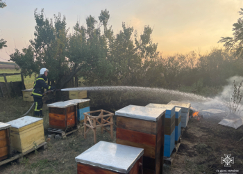 За добу на Миколаївщині вигоріло понад 26 га відкритих територій (ФОТО)