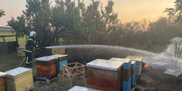 За добу на Миколаївщині вигоріло понад 26 га відкритих територій (ФОТО)