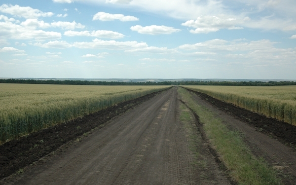 Війна. НІБУЛОН. Окупація філій на Луганщині (ВІДЕО)