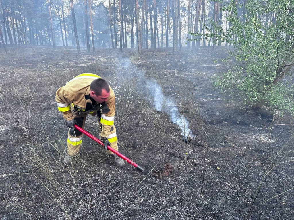 На Миколаївщині загасили масштабну лісову пожежу (ФОТО) 8