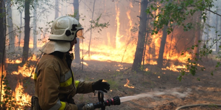 На Миколаївщині знов горить Андріївське урочище – вогонь охопив 20 га території (ФОТО)