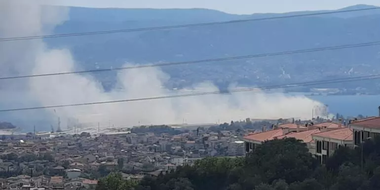 В Туреччині вибух на портовому елеваторі, 10 постраждалих (ВІДЕО)