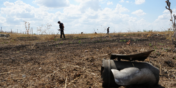 Площа розмінованої на Миколаївщині землі наближається до 5 тис.га: як працюють піротехніки з різних регіонів (ФОТО)