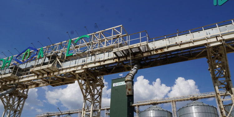 Війна. НІБУЛОН. Філія «Зеленодольська» – річковий термінал без води (ФОТО, ВІДЕО)