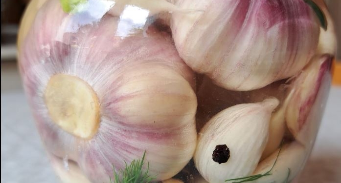 Не маринований, а квашений. Найкорисніший часник на зиму (ФОТО)