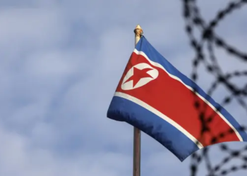 North Korea Flag