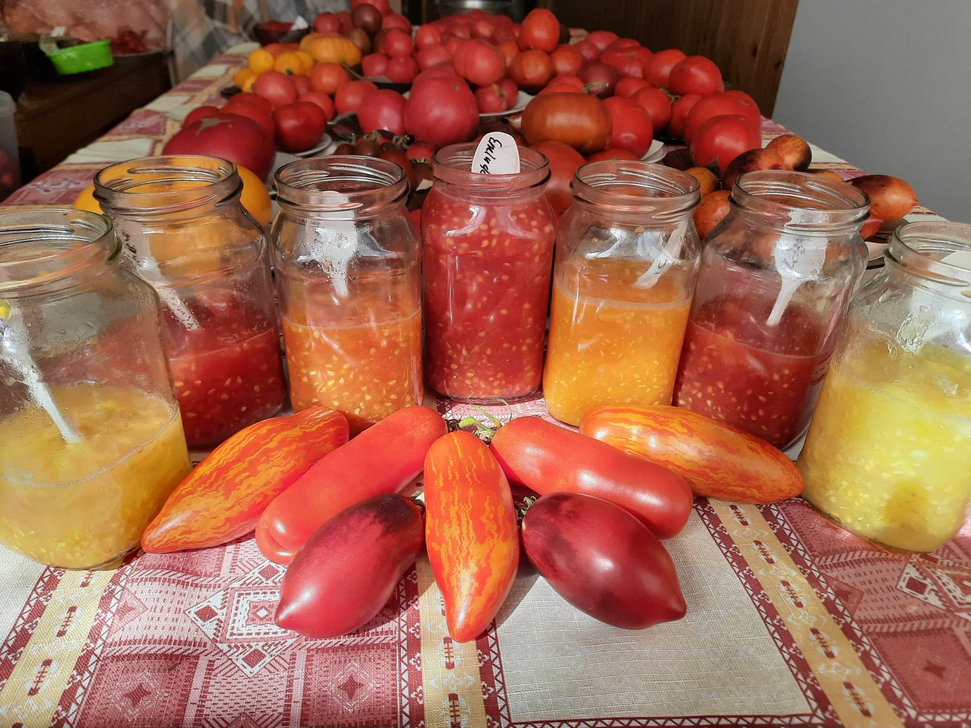 Як правильно зібрати насіння томатів, щоб зберегти сорти, що сподобались (ФОТО)