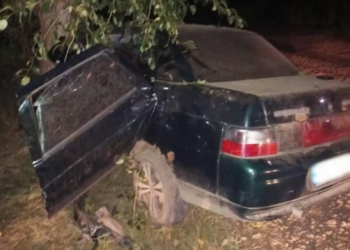 Нічна ДТП на Миколаївщині: травмувався водій та загинув пасажир (ФОТО)