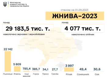 Врожай-2023: вже зібрано понад 33 млн.тонн, на Миколаївщині почали збирати гречку та просо