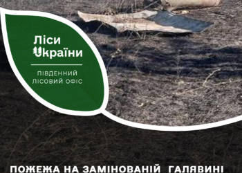 На Миколаївщині пожежа на лісовій галявині призвела до вибухів