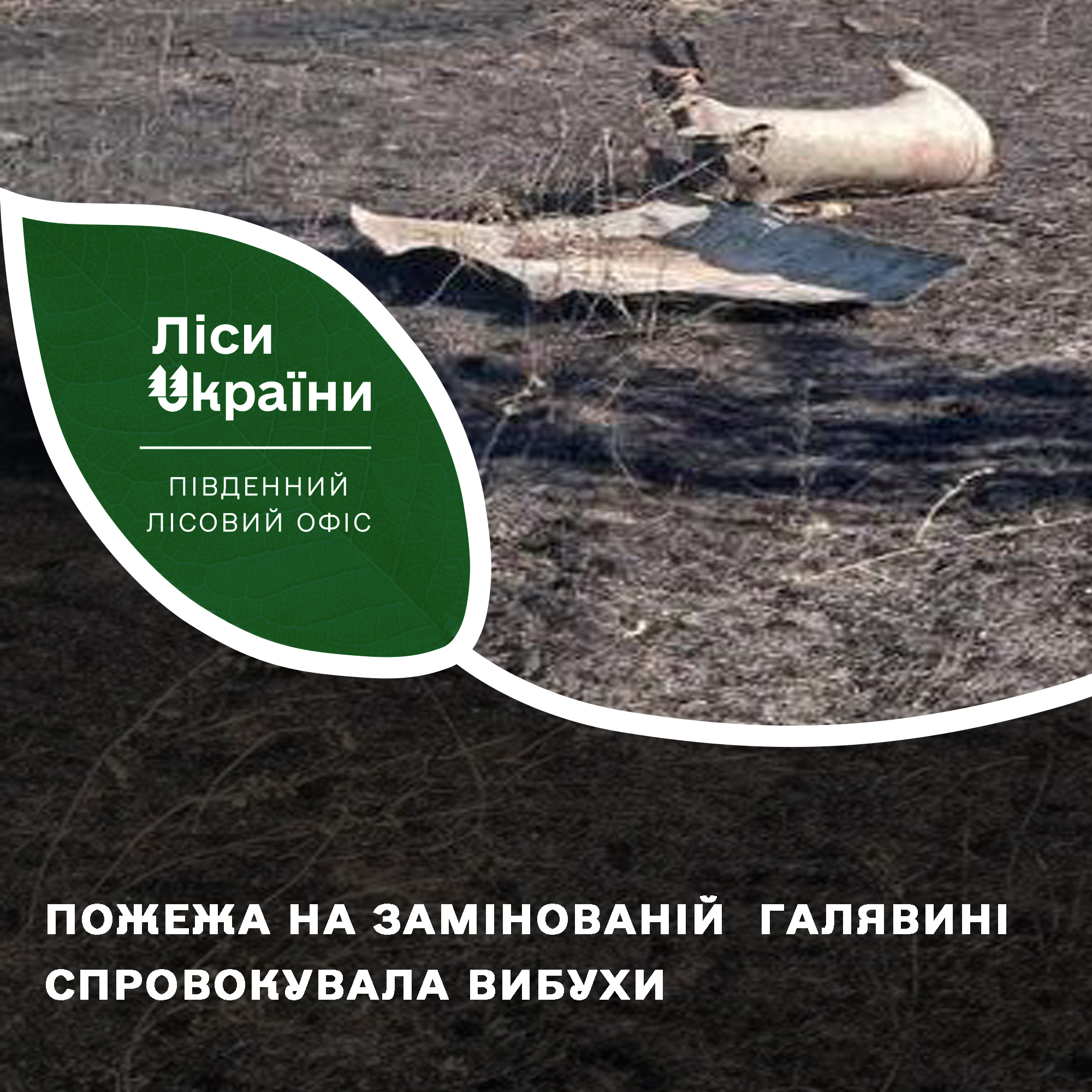 На Миколаївщині пожежа на лісовій галявині призвела до вибухів