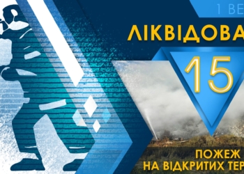 У Миколаєві внаслідок пожежі на міському некрополі загинула людина