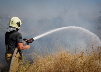 У Миколаєві вогнеборці загасили пожежу сухостою та не допустили перекидання вогню на забудови (ФОТО, ВІДЕО)