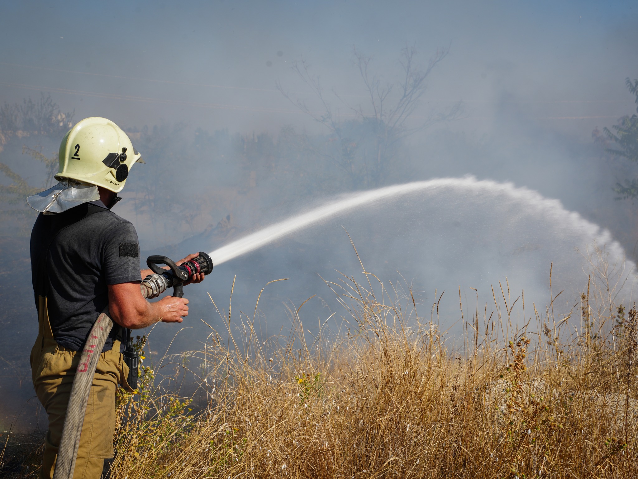 У Миколаєві вогнеборці загасили пожежу сухостою та не допустили перекидання вогню на забудови (ФОТО, ВІДЕО)