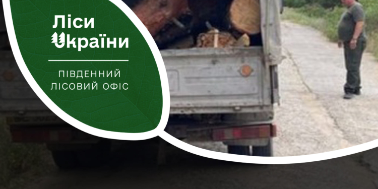 На Миколаївщині звільнили лісівника за викрадення деревини