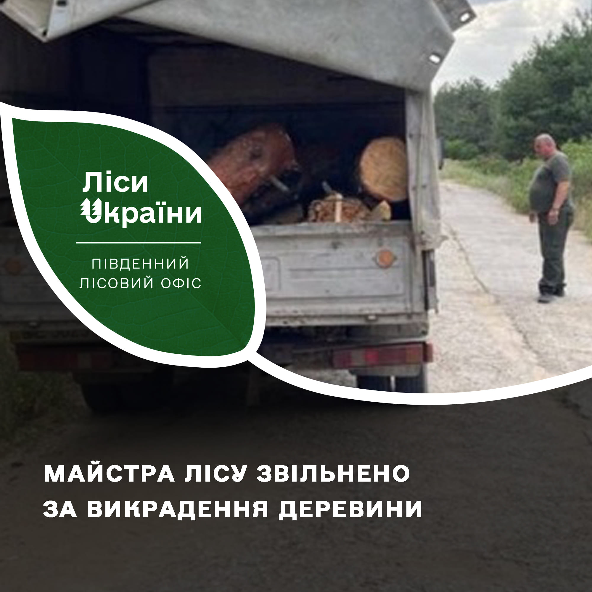 На Миколаївщині звільнили лісівника за викрадення деревини