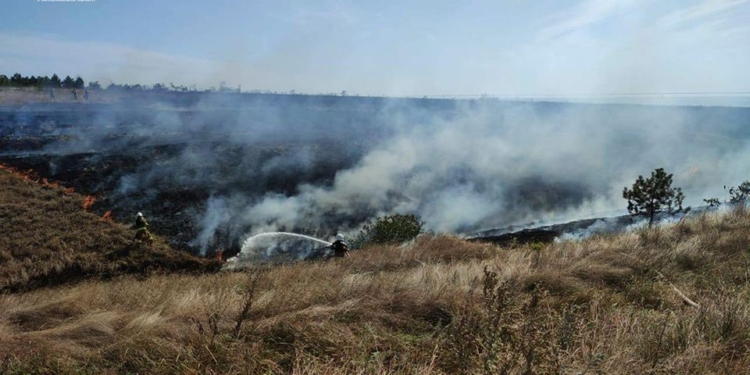 Через ворожий обстріл в Куцурубській громаді Миколаївщини загорівся сухостій (ФОТО)
