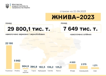 Жнива-2023: в Україні за тиждень намолочено ще плюс 2 млн.тонн зернових та олійних культур