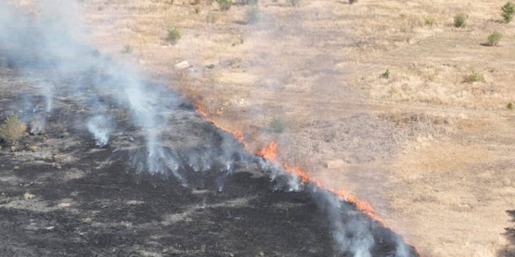 Миколаївські вогнеборці ліквідовують масштабну пожежу сухостою (ФОТО)