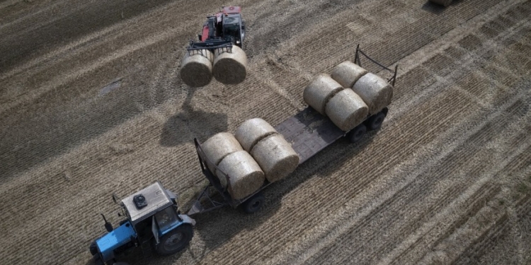 Професор Варшавського університету Менковська-Норкене: «Чинний уряд Польщі розіграв карту України перед виборами»