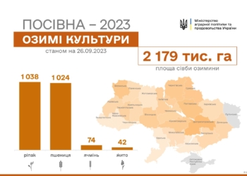 В Україні засіяно понад 2 млн га озимих культур