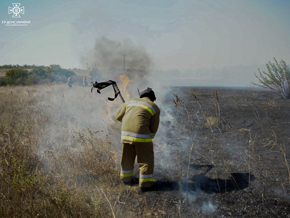 Вогнеборці впорались з двома великими пожежами на Миколаївщині: вигоріло 12 га, але будинки збережені (ФОТО) 2