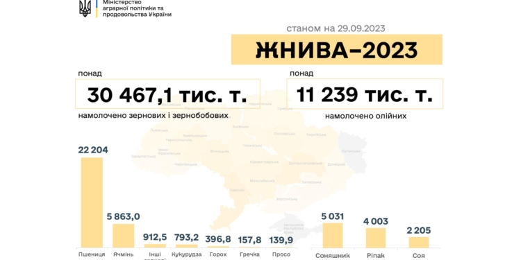 Жнива-2023: за тиждень українські аграрії намолотили ще плюс понад 4 млн.тонн зернових та олійних культур