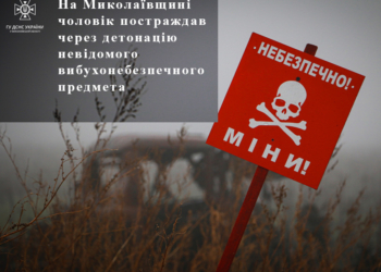 На Миколаївщині підірвався на міні 26-річний чоловік – пішов збирати дрова