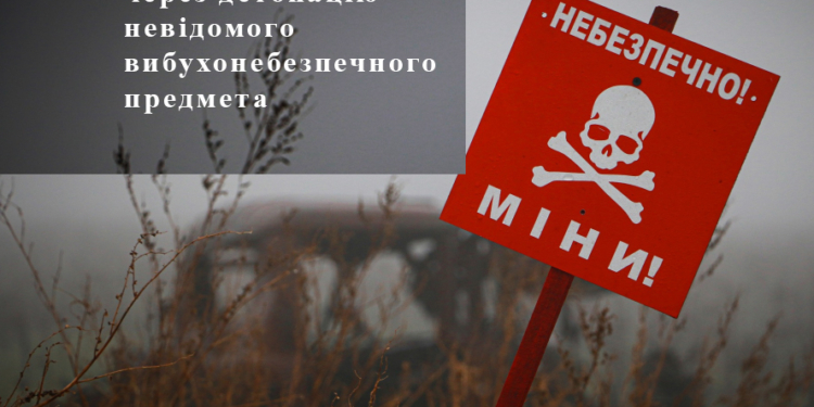 На Миколаївщині підірвався на міні 26-річний чоловік – пішов збирати дрова