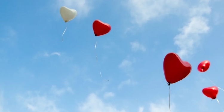 Бельгійські вчені відправлять на МКС штучно вирощене серце