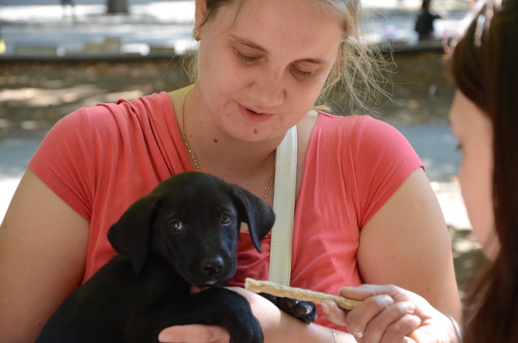 У Миколаєві відбулась чергова виставка-прилаштування собак: майже половині вдалось знайти дім (ФОТО) 19