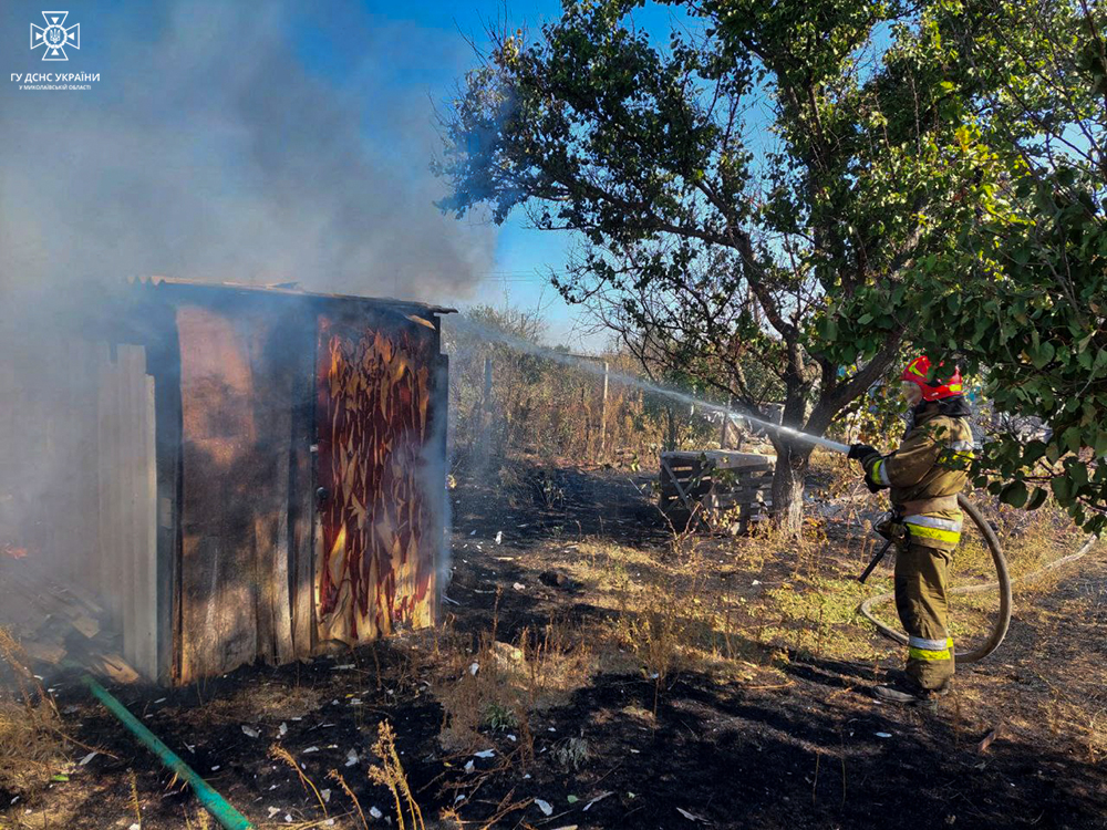 Вогнеборці впорались з двома великими пожежами на Миколаївщині: вигоріло 12 га, але будинки збережені (ФОТО) 20