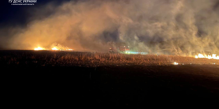 Миколаївщина у вогні. З різних причин горіло на 29 га