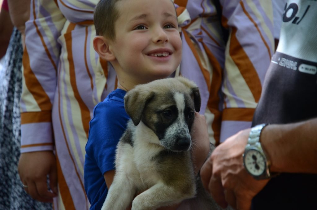 У Миколаєві відбулась чергова виставка-прилаштування собак: майже половині вдалось знайти дім (ФОТО) 23