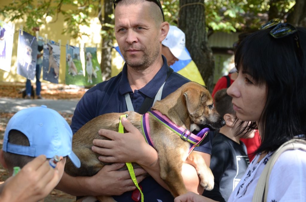 У Миколаєві відбулась чергова виставка-прилаштування собак: майже половині вдалось знайти дім (ФОТО) 25
