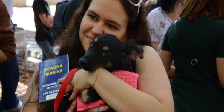 У Миколаєві відбулась чергова виставка-прилаштування собак: майже половині вдалось знайти дім (ФОТО)