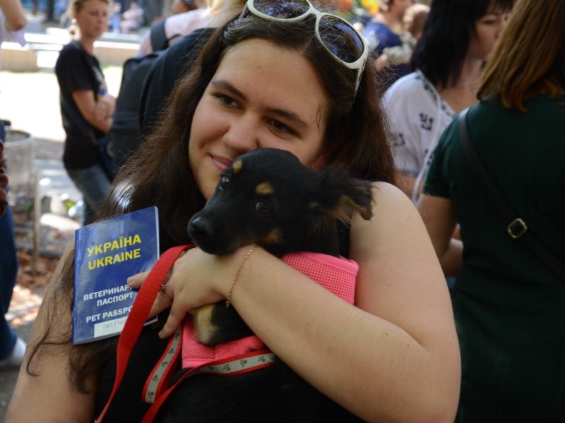 У Миколаєві відбулась чергова виставка-прилаштування собак: майже половині вдалось знайти дім (ФОТО)