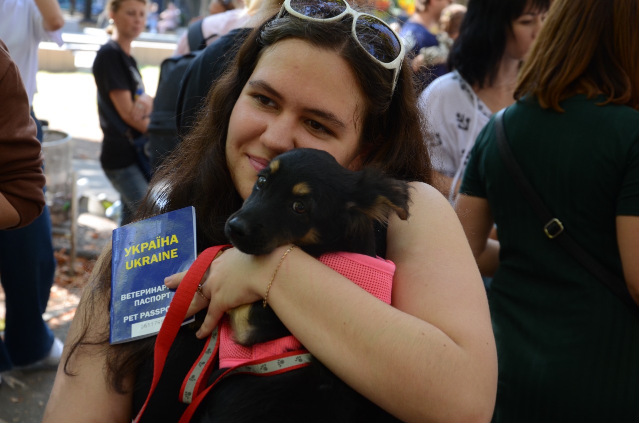 У Миколаєві відбулась чергова виставка-прилаштування собак: майже половині вдалось знайти дім (ФОТО)