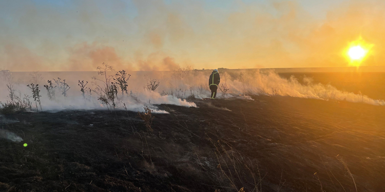 На Миколаївщині горить трава і чагарники, а сьогодні знову спека, – ДСНС (ФОТО)