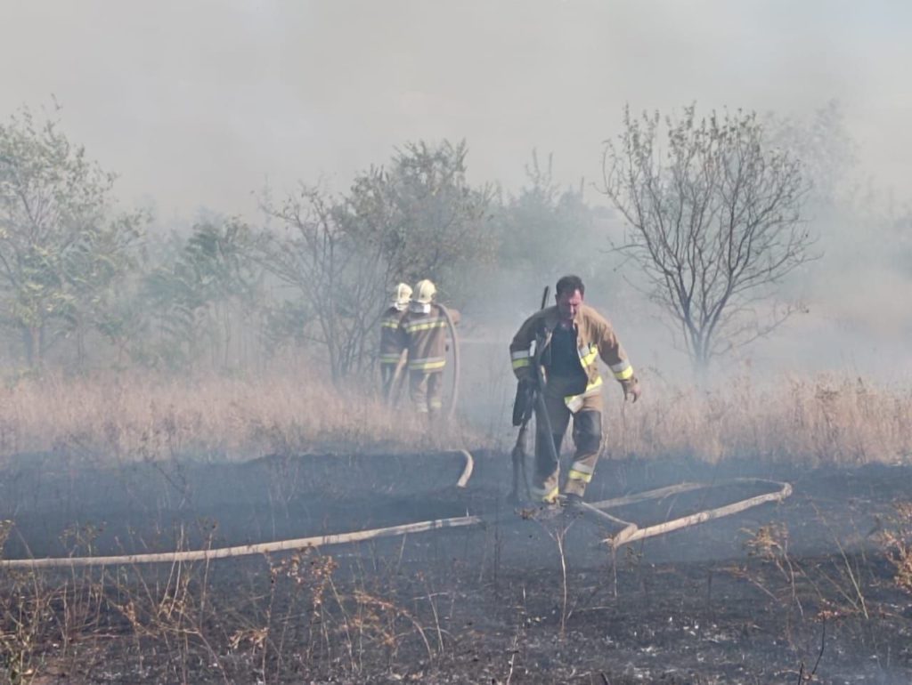 Миколаївські вогнеборці ліквідовують масштабну пожежу сухостою (ФОТО) 4