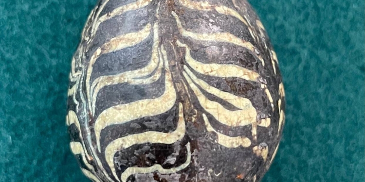 Унікальна знахідка: на Волині знайшли глиняну писанку ХІ-ХІІ ст. (ФОТО)