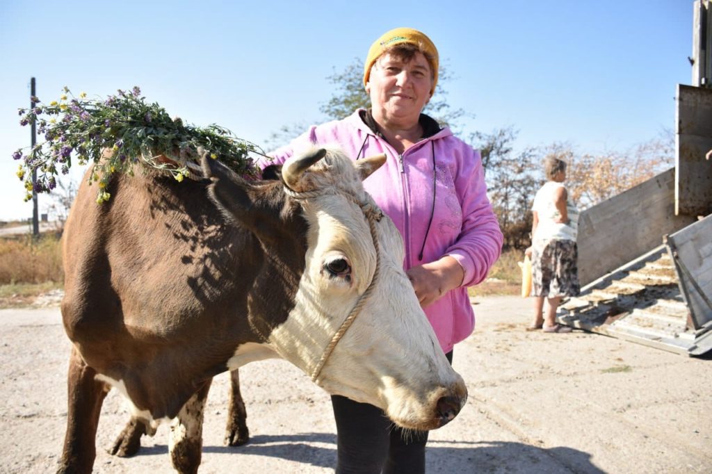 Мешканцям сіл двох громад на Миколаївщині передали першу партію корів (ФОТО) 4