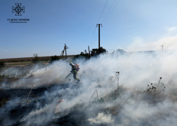 За добу на Миколаївщині вигоріло понад 25 га відкритих територій (ФОТО)