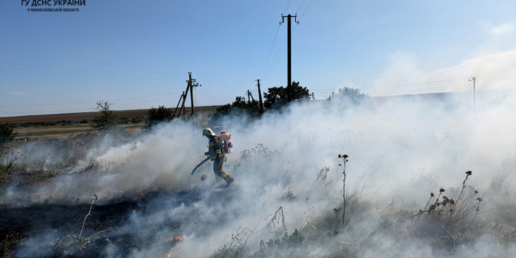 За добу на Миколаївщині вигоріло понад 25 га відкритих територій (ФОТО)