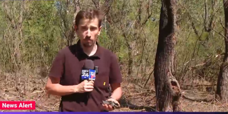 В Румунії думають про евакуацію мешканців прикордонного села – журналісти показали місце падіння дрона (ВІДЕО)